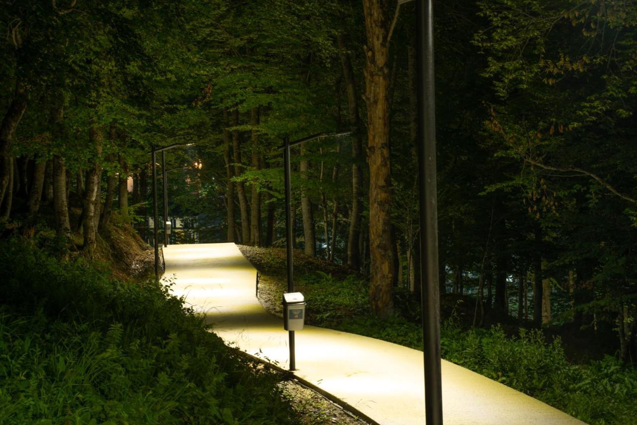 Crystal Residence บาคูเรียนี ภายนอก รูปภาพ