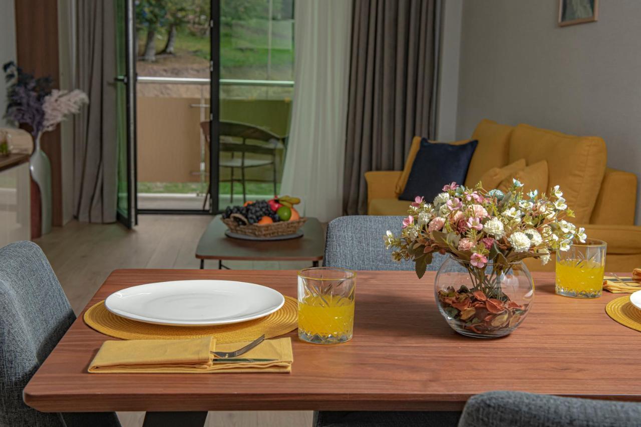 Crystal Residence บาคูเรียนี ภายนอก รูปภาพ